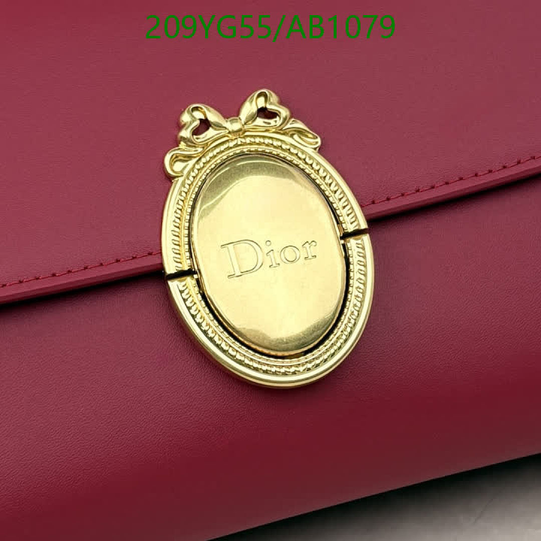 Dior-BagsMirror Quality Code: AB1079 $: 209USD