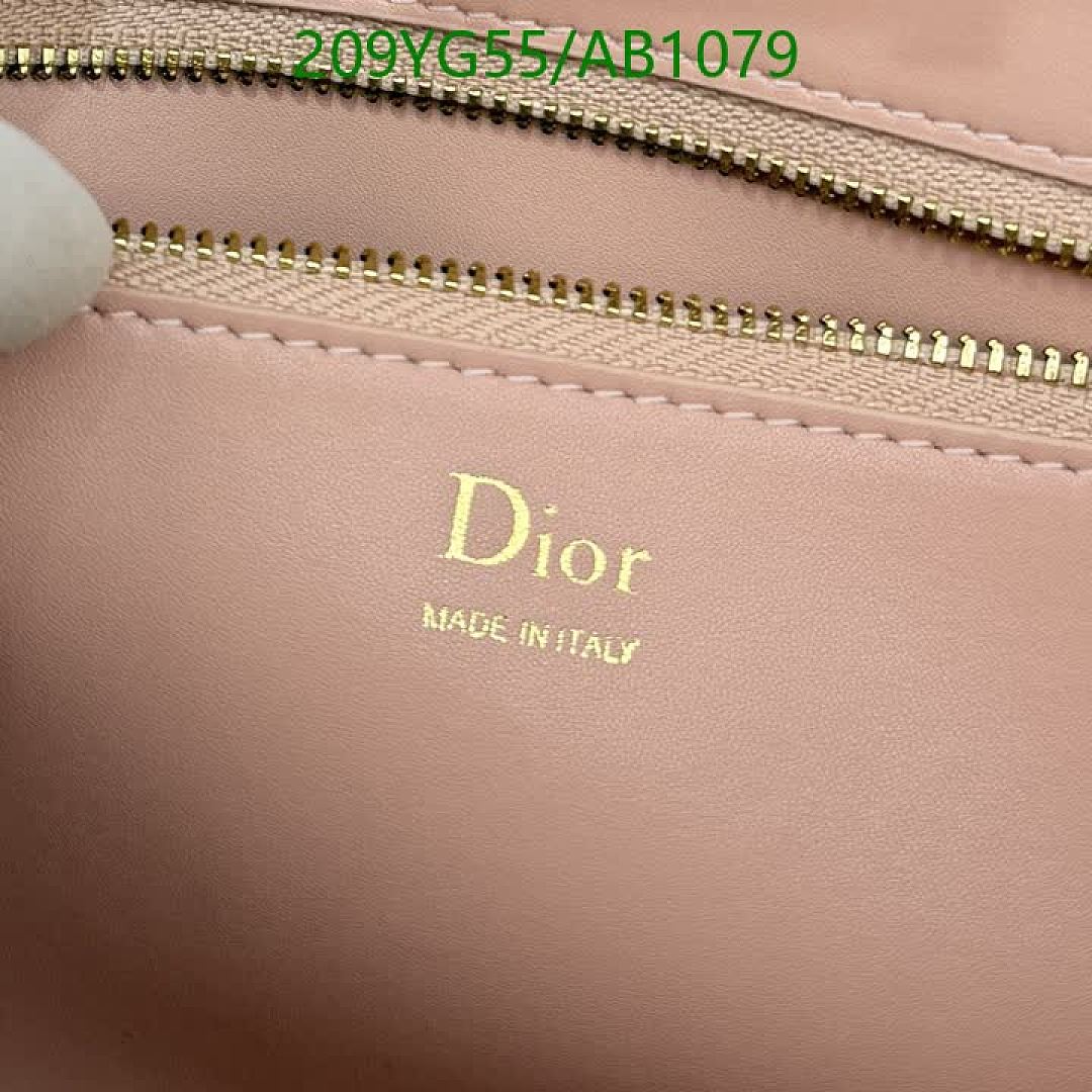 Dior-BagsMirror Quality Code: AB1079 $: 209USD