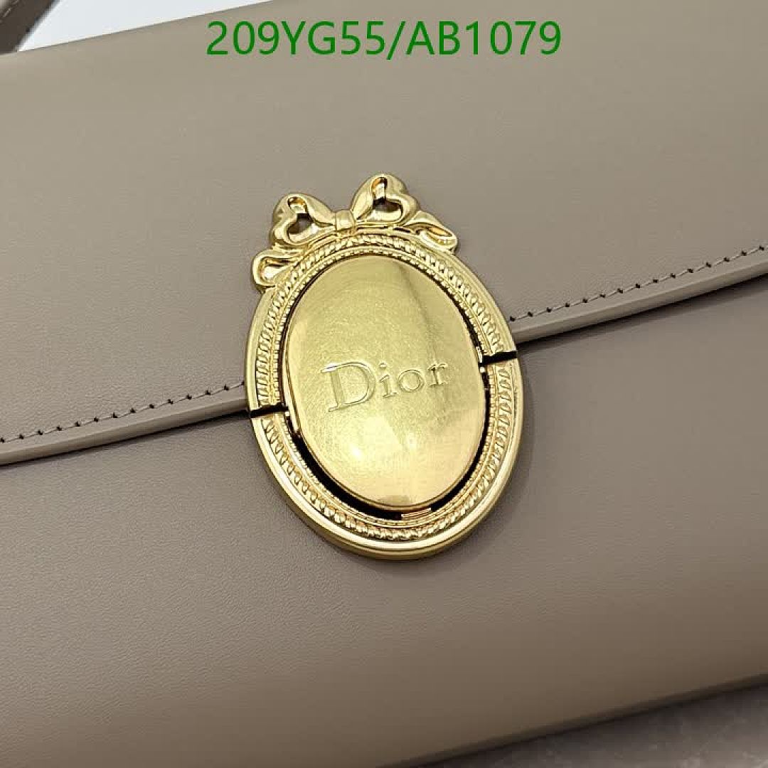 Dior-BagsMirror Quality Code: AB1079 $: 209USD