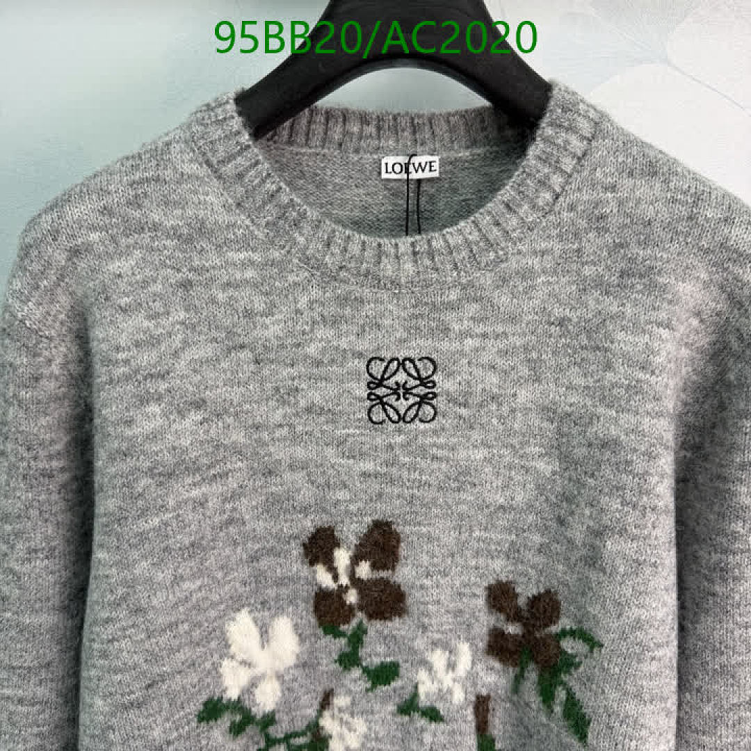 Loewe-Clothing Code: AC2020 $: 95USD