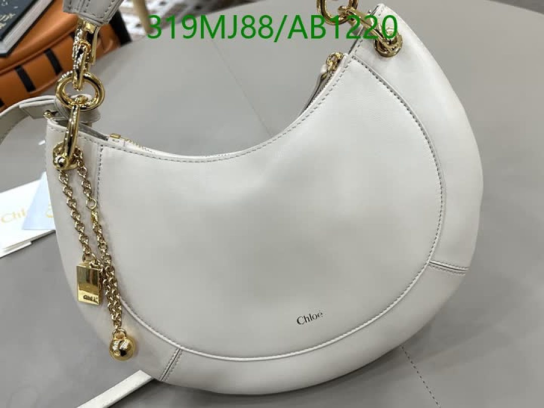 Chloe-BagsMirror Quality Code: AB1220 $: 319USD