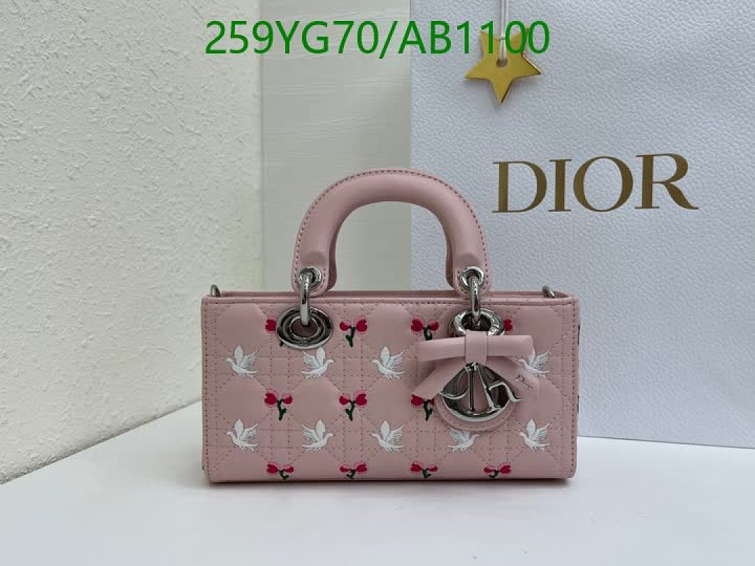 Dior-BagsMirror Quality Code: AB1100 $: 259USD