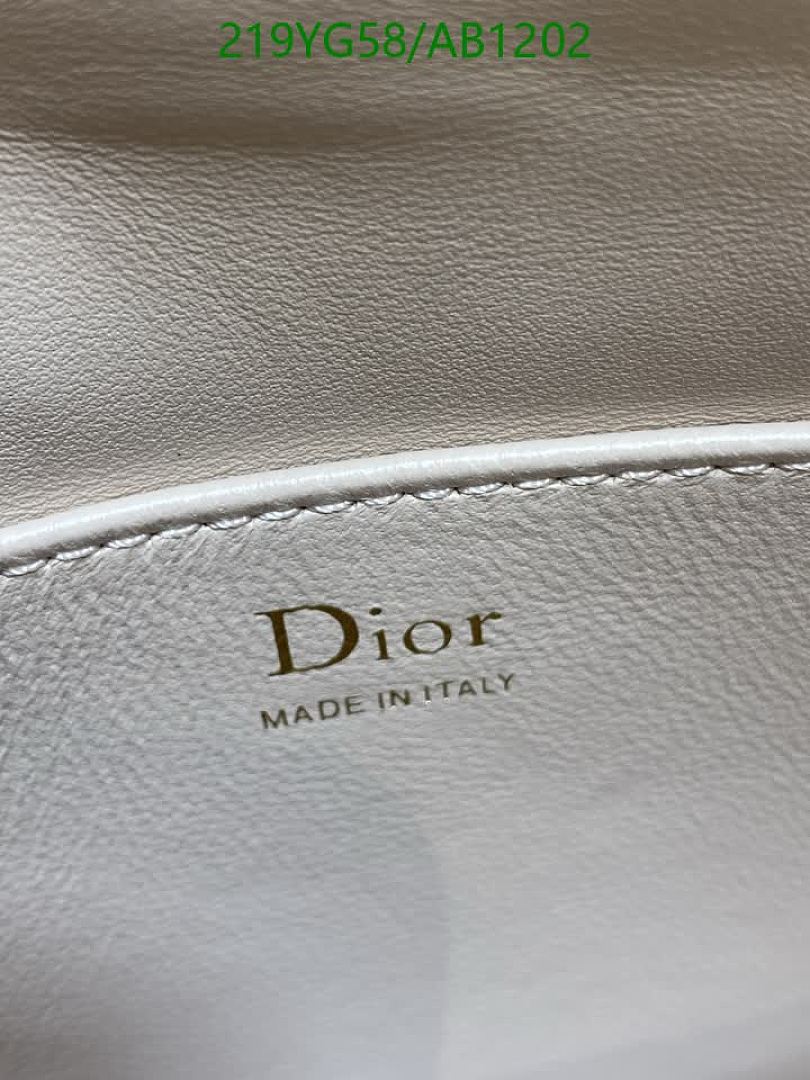 Dior-BagsMirror Quality Code: AB1202 $: 219USD