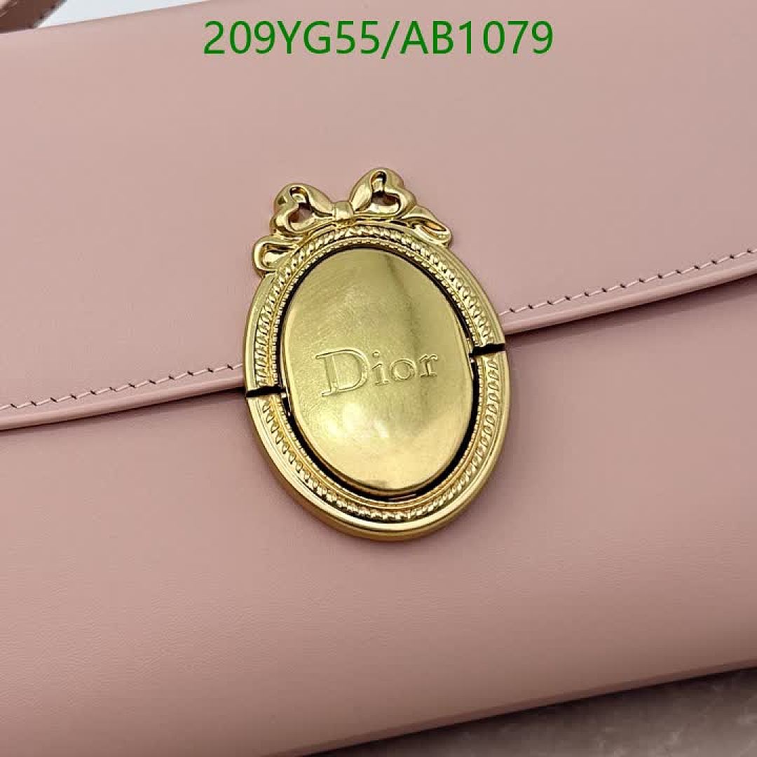 Dior-BagsMirror Quality Code: AB1079 $: 209USD