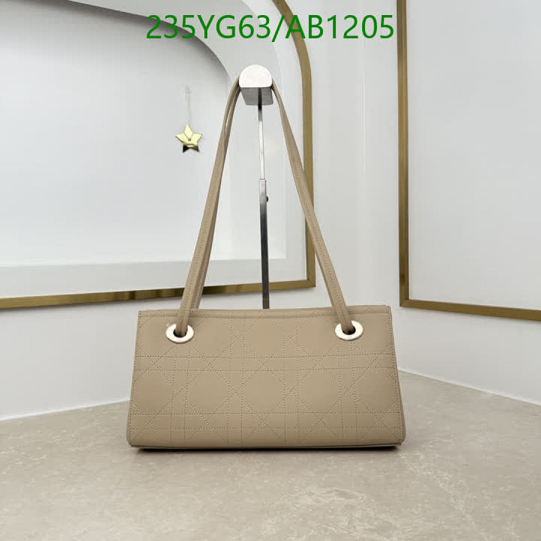 Dior-BagsMirror Quality Code: AB1205 $: 235USD