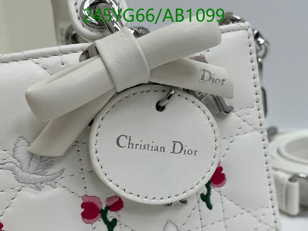 Dior-BagsMirror Quality Code: AB1099 $: 245USD
