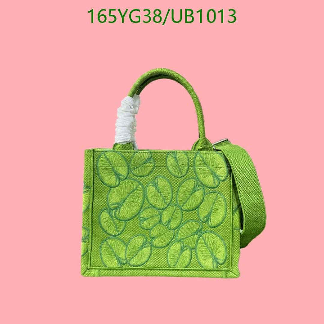 Dior-BagsMirror Quality Code: UB1013 $: 165USD