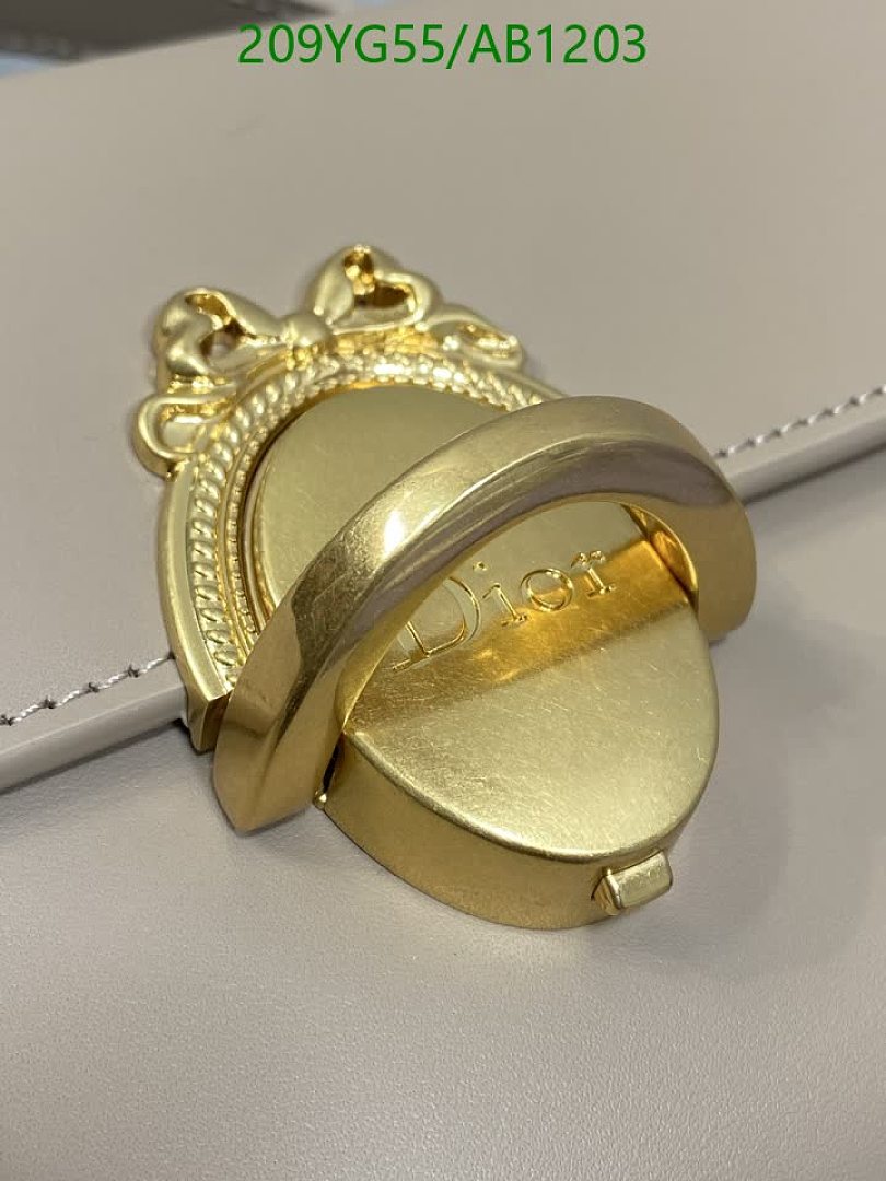 Dior-BagsMirror Quality Code: AB1203 $: 209USD