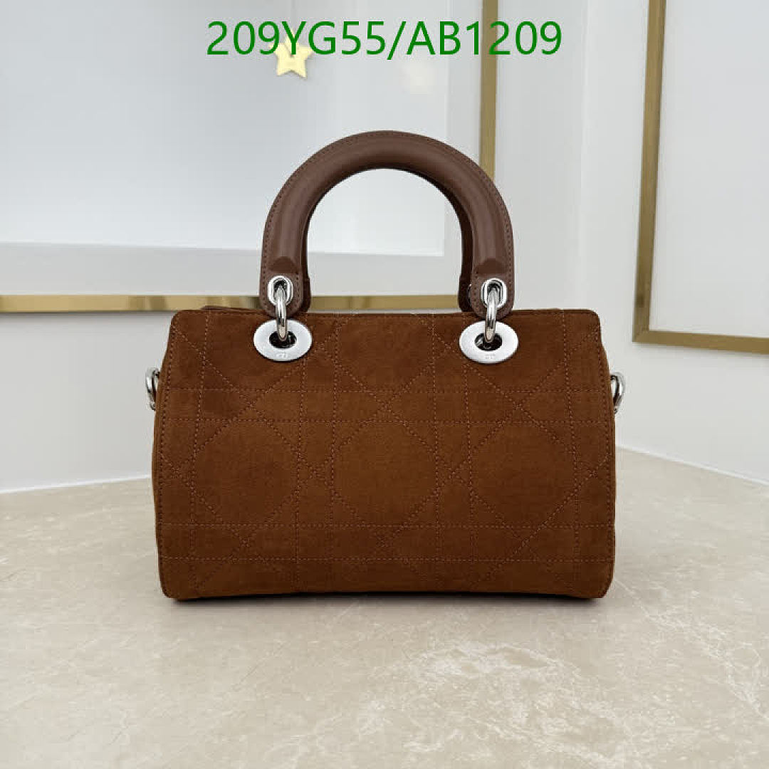 Dior-BagsMirror Quality Code: AB1209 $: 209USD