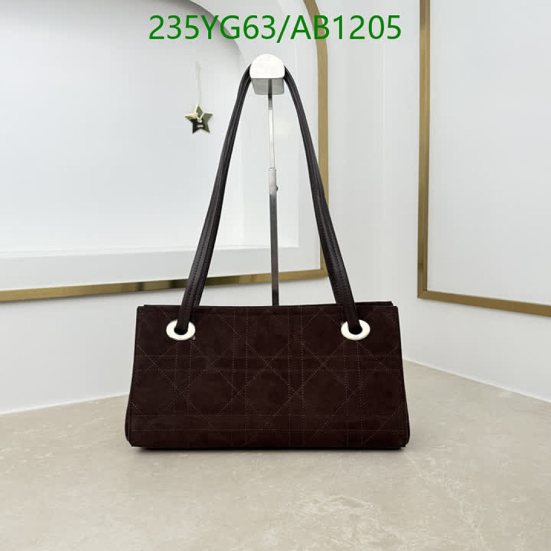 Dior-BagsMirror Quality Code: AB1205 $: 235USD