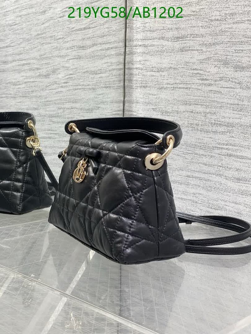 Dior-BagsMirror Quality Code: AB1202 $: 219USD