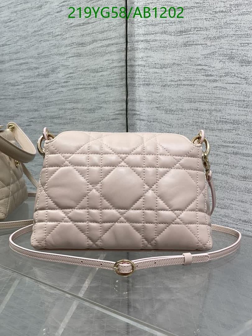 Dior-BagsMirror Quality Code: AB1202 $: 219USD
