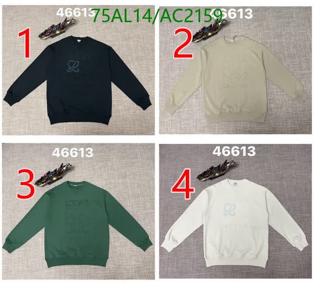 Loewe-Clothing Code: AC2159 $: 75USD