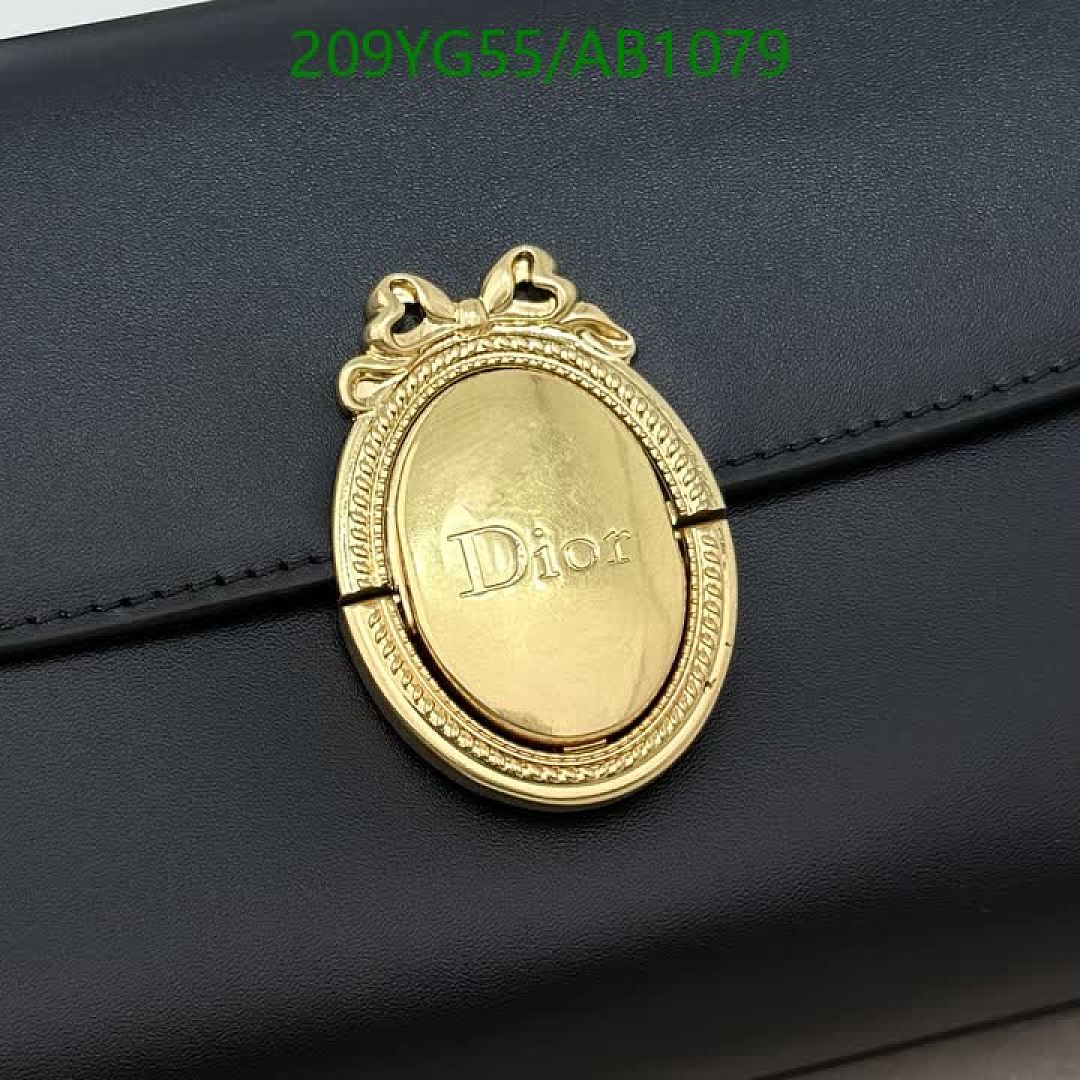 Dior-BagsMirror Quality Code: AB1079 $: 209USD