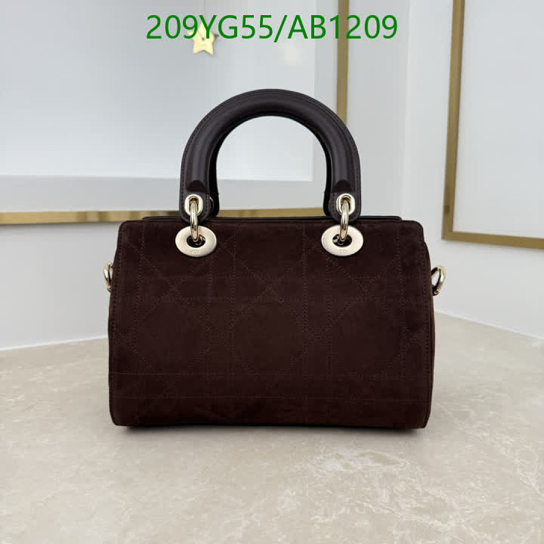 Dior-BagsMirror Quality Code: AB1209 $: 209USD