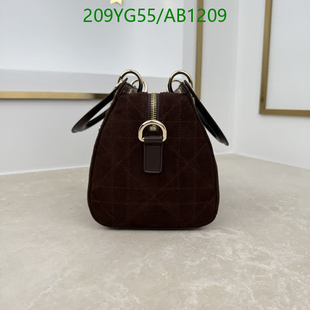 Dior-BagsMirror Quality Code: AB1209 $: 209USD