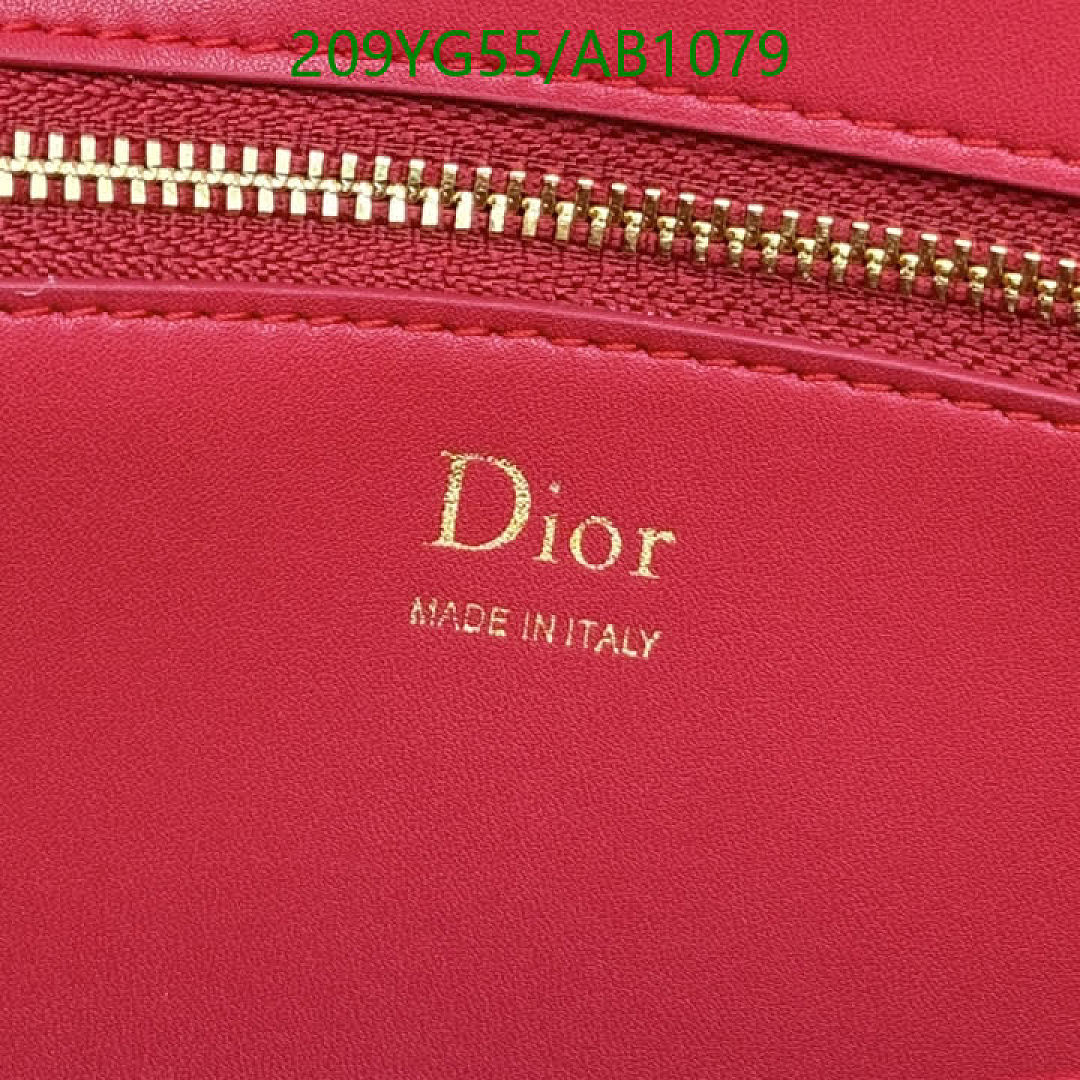 Dior-BagsMirror Quality Code: AB1079 $: 209USD