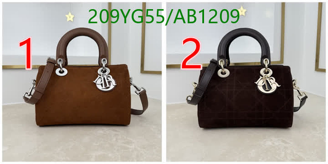 Dior-BagsMirror Quality Code: AB1209 $: 209USD