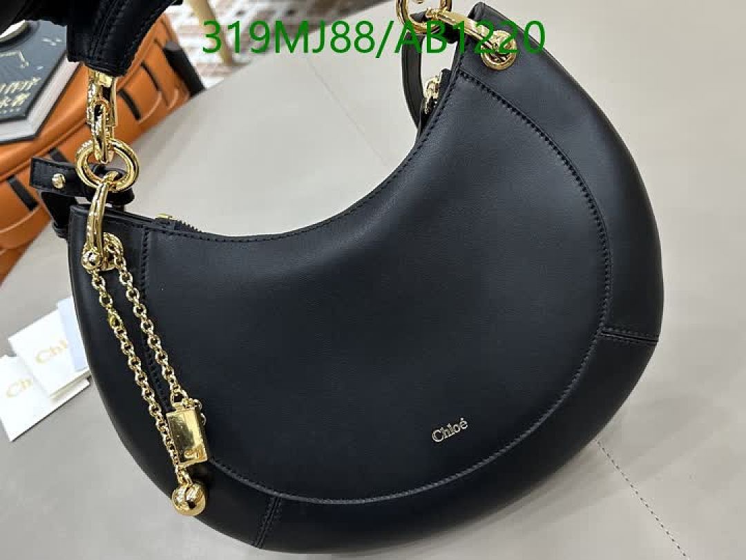 Chloe-BagsMirror Quality Code: AB1220 $: 319USD