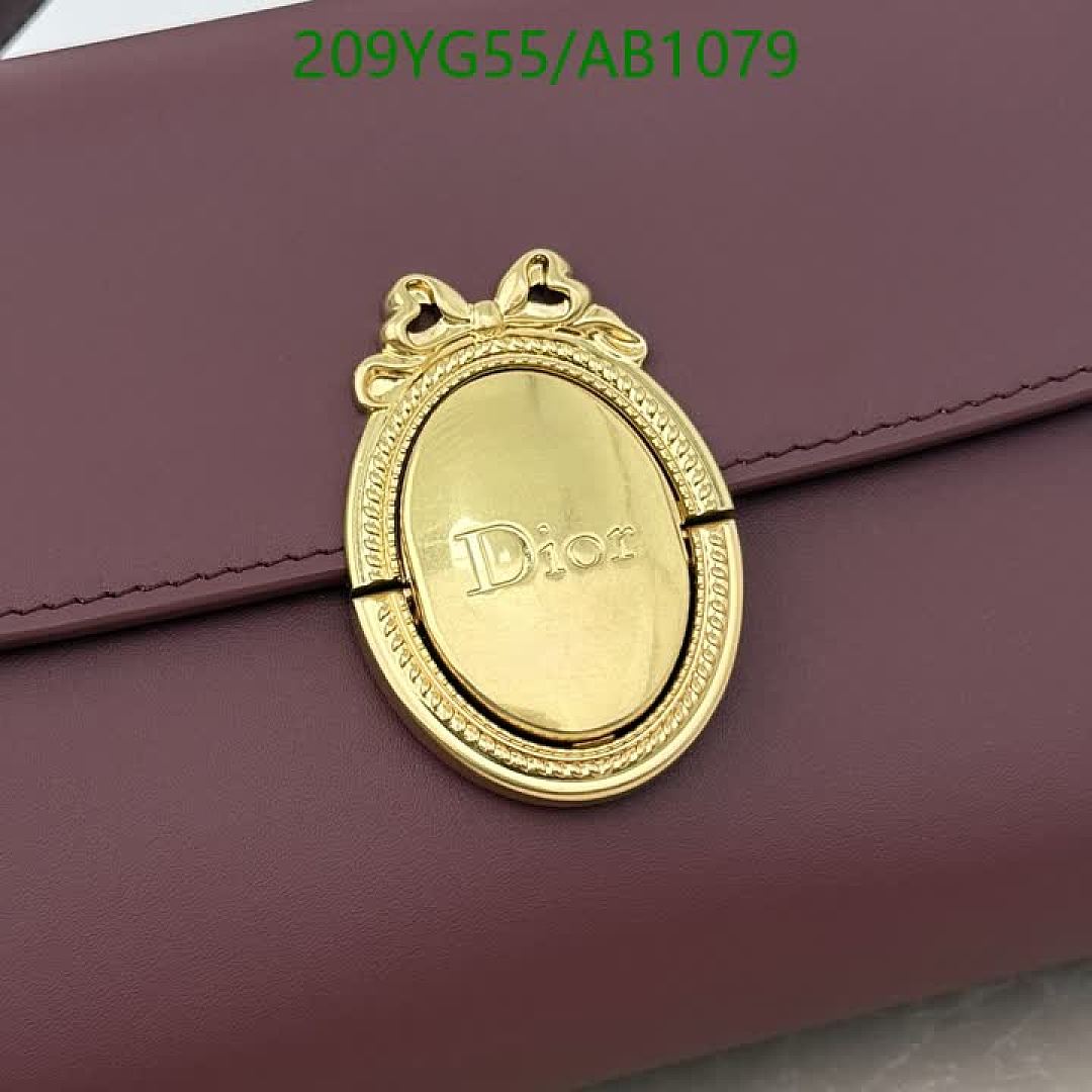 Dior-BagsMirror Quality Code: AB1079 $: 209USD