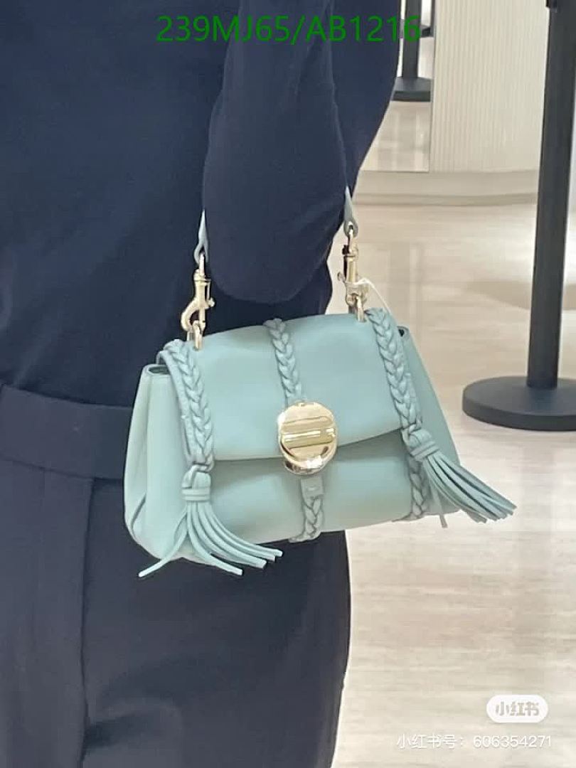 Chloe-BagsMirror Quality Code: AB1216 $: 239USD