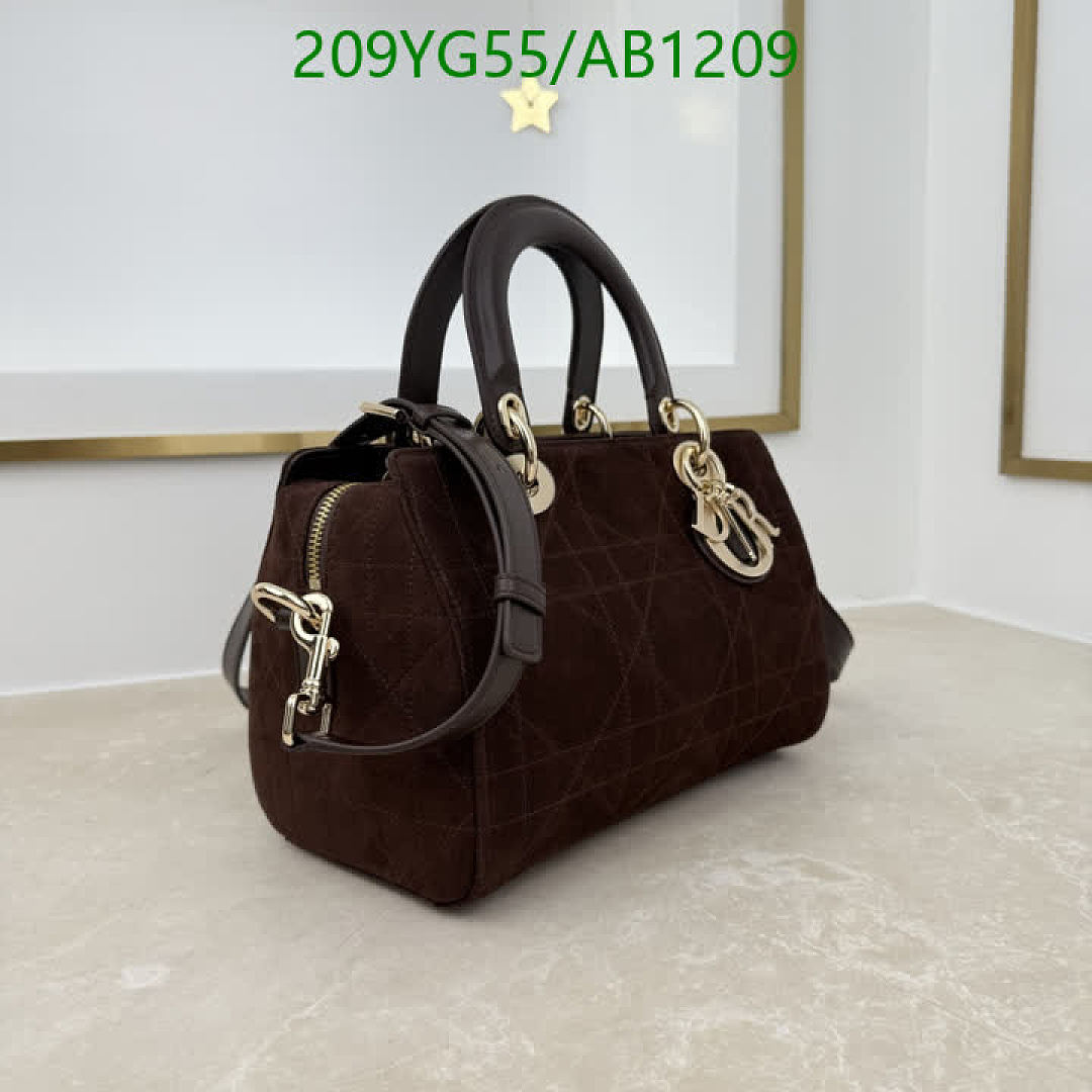 Dior-BagsMirror Quality Code: AB1209 $: 209USD