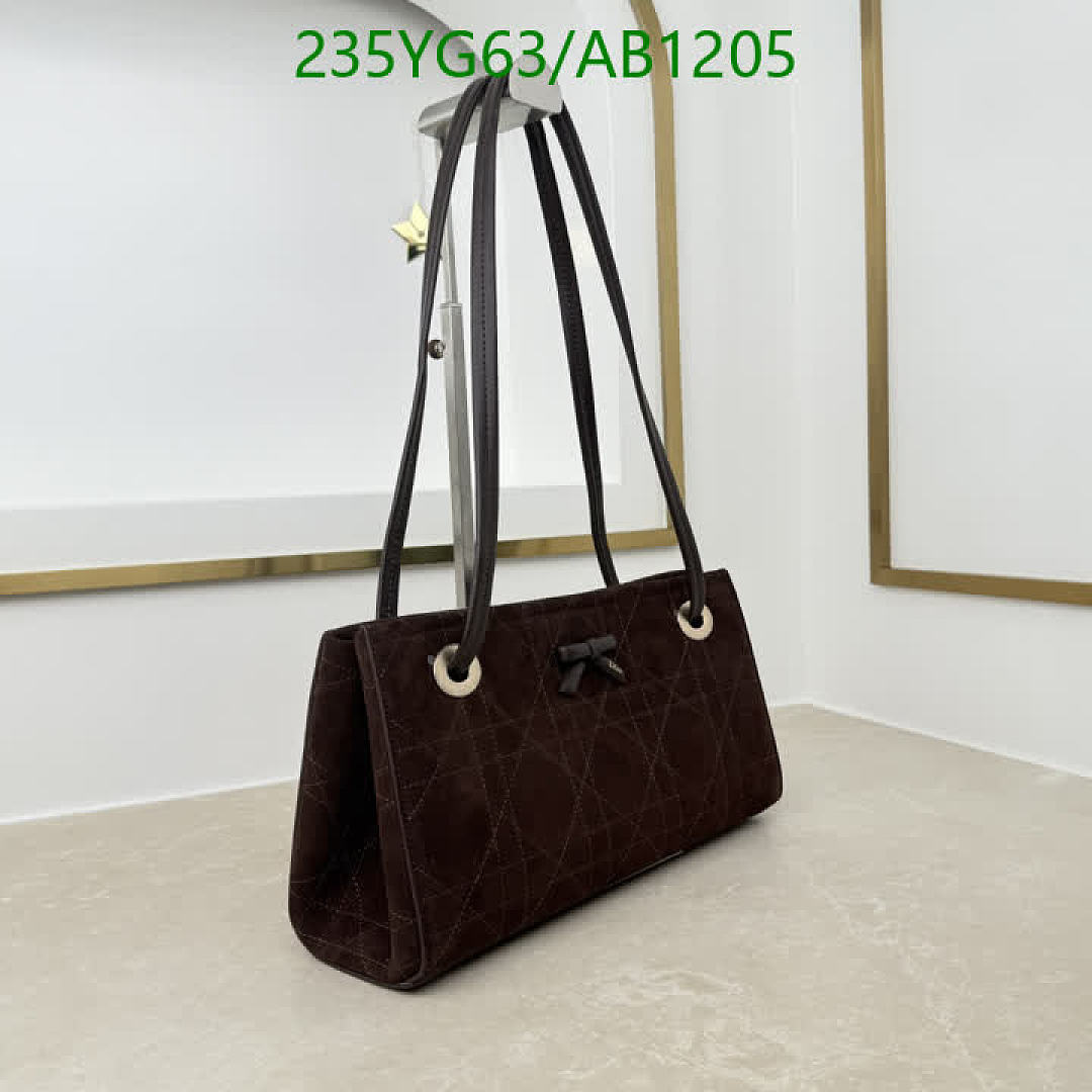 Dior-BagsMirror Quality Code: AB1205 $: 235USD