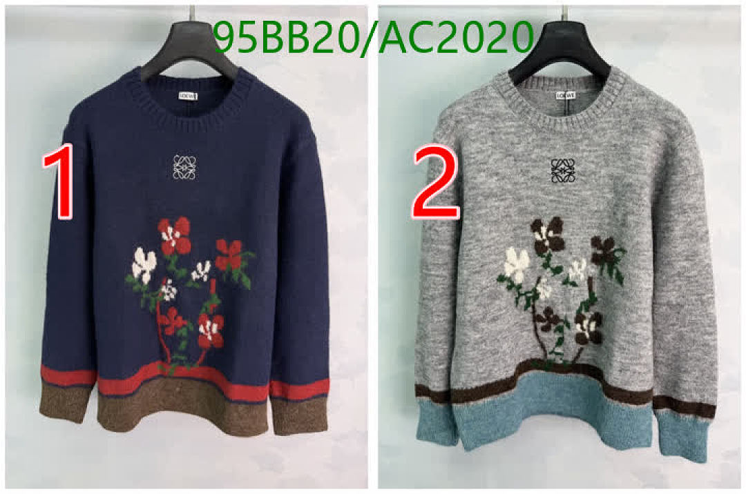 Loewe-Clothing Code: AC2020 $: 95USD