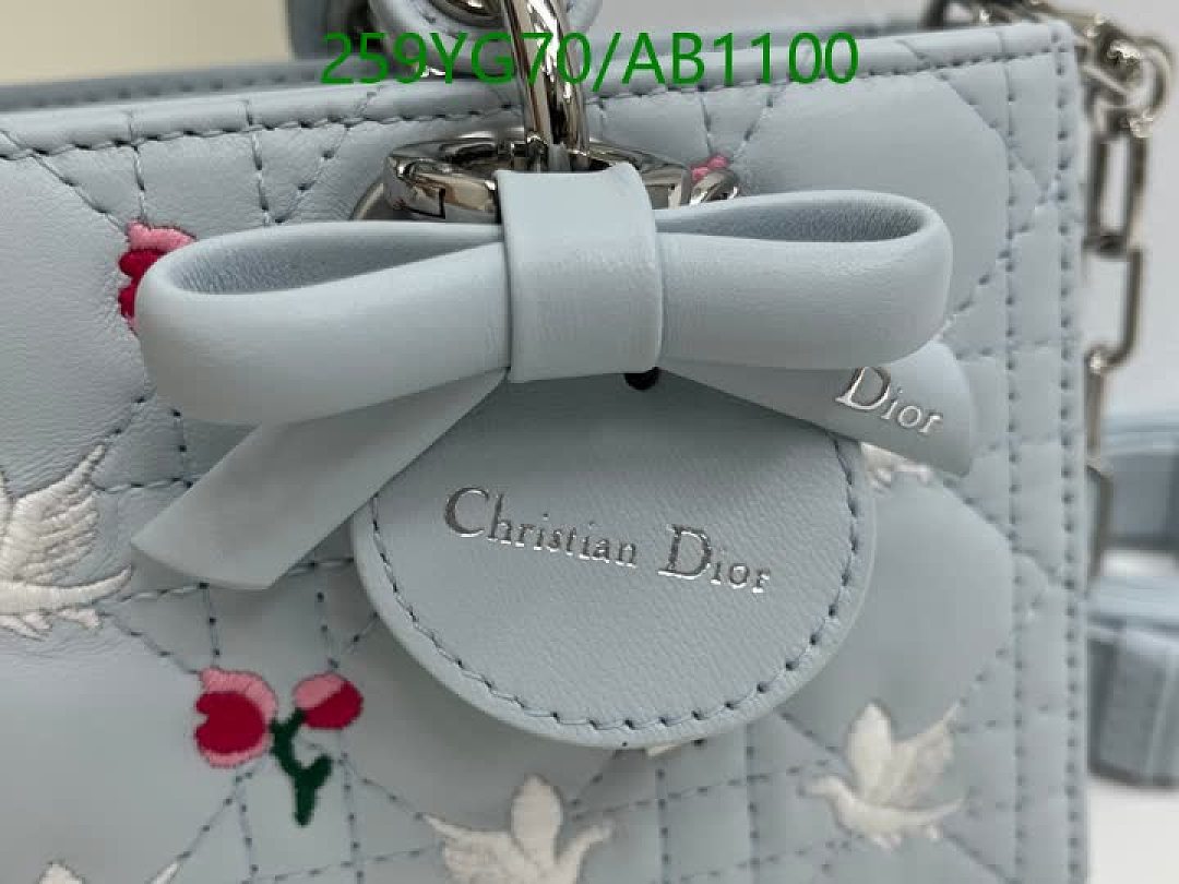 Dior-BagsMirror Quality Code: AB1100 $: 259USD