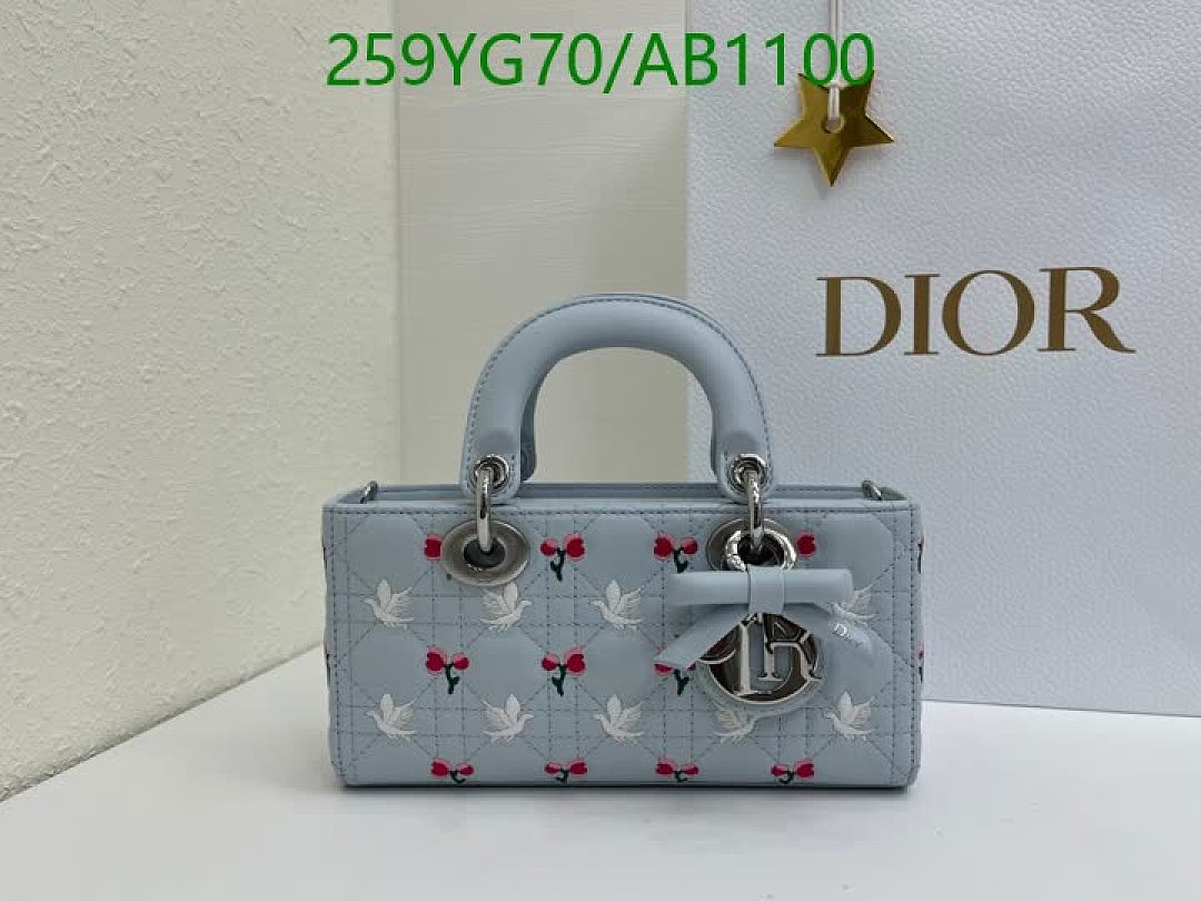 Dior-BagsMirror Quality Code: AB1100 $: 259USD