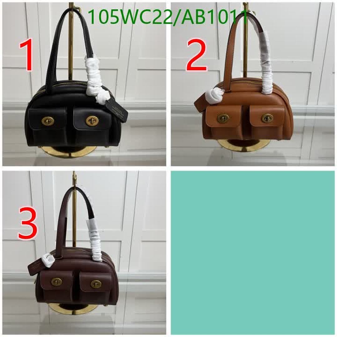 Coach-Bags4A Quality Code: AB1011 $: 105USD