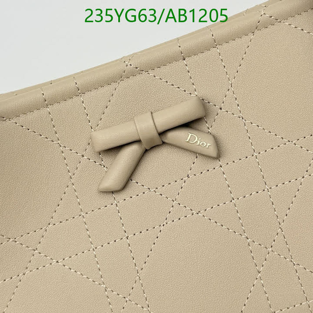 Dior-BagsMirror Quality Code: AB1205 $: 235USD