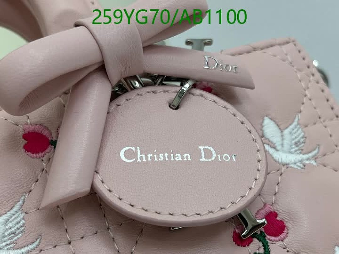 Dior-BagsMirror Quality Code: AB1100 $: 259USD
