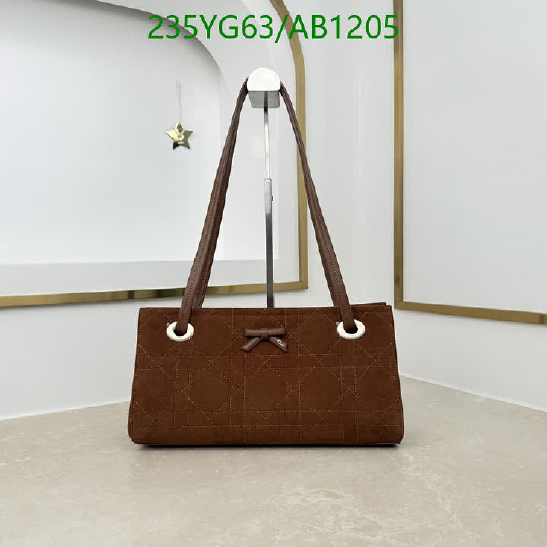 Dior-BagsMirror Quality Code: AB1205 $: 235USD