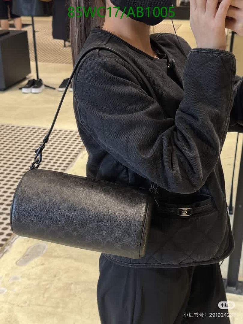 Coach-Bags4A Quality Code: AB1005 $: 85USD