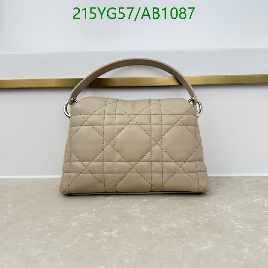 Dior-BagsMirror Quality Code: AB1087 $: 215USD