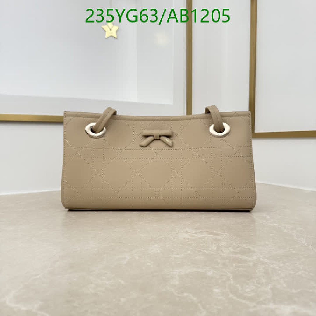 Dior-BagsMirror Quality Code: AB1205 $: 235USD