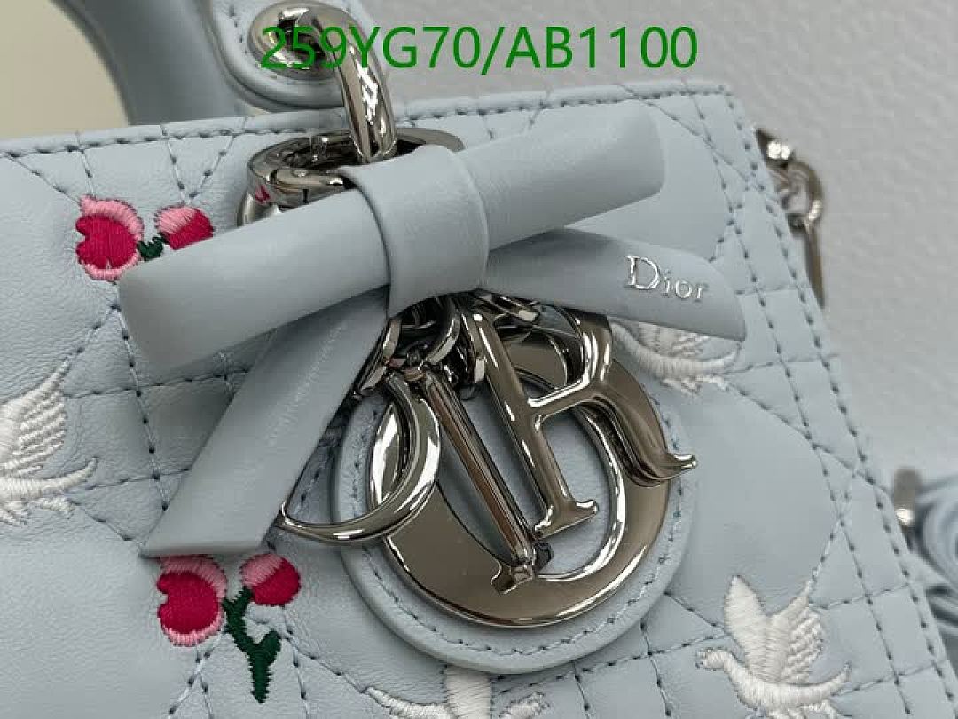 Dior-BagsMirror Quality Code: AB1100 $: 259USD
