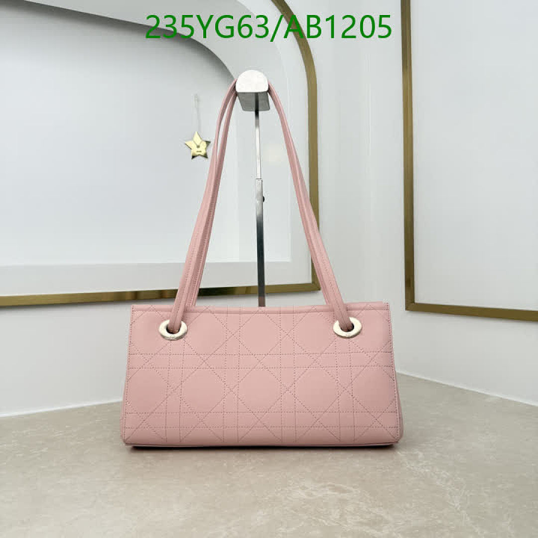 Dior-BagsMirror Quality Code: AB1205 $: 235USD