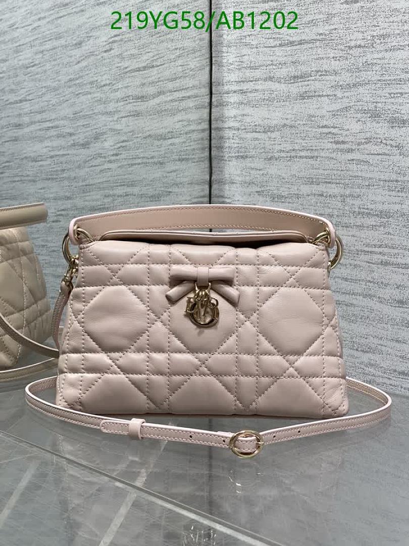 Dior-BagsMirror Quality Code: AB1202 $: 219USD