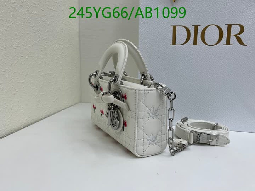 Dior-BagsMirror Quality Code: AB1099 $: 245USD