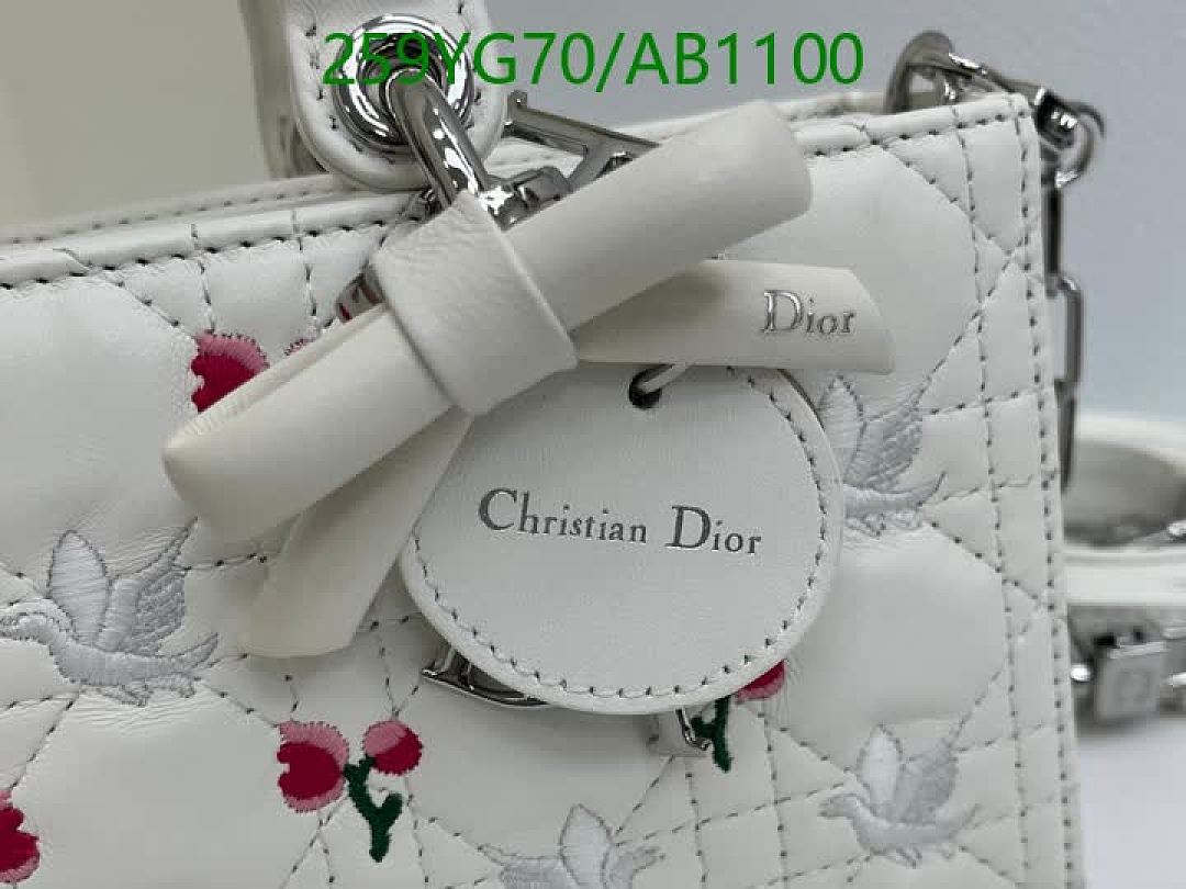 Dior-BagsMirror Quality Code: AB1100 $: 259USD
