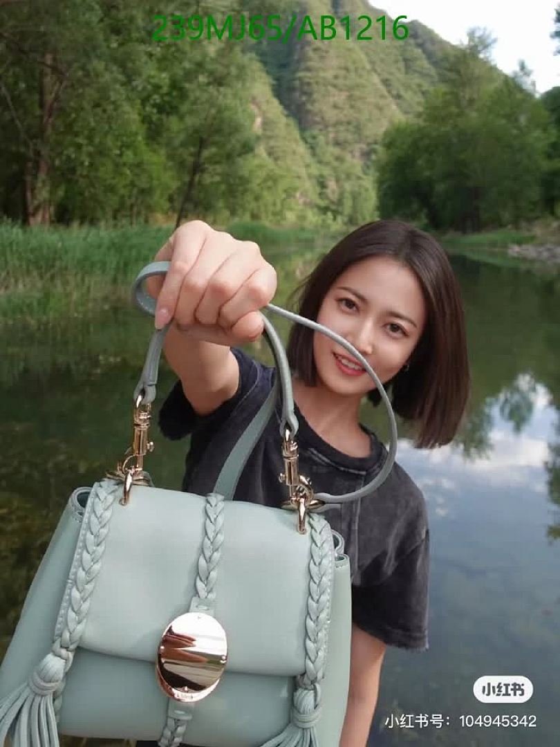 Chloe-BagsMirror Quality Code: AB1216 $: 239USD