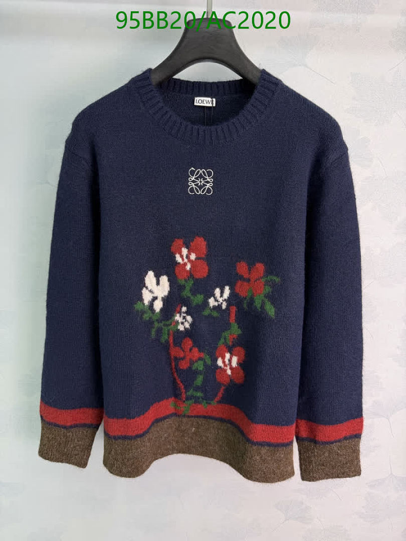 Loewe-Clothing Code: AC2020 $: 95USD