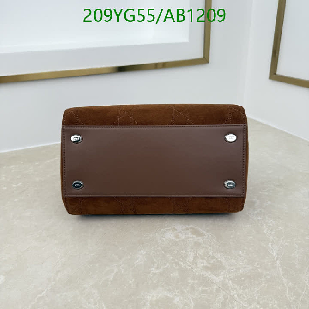Dior-BagsMirror Quality Code: AB1209 $: 209USD