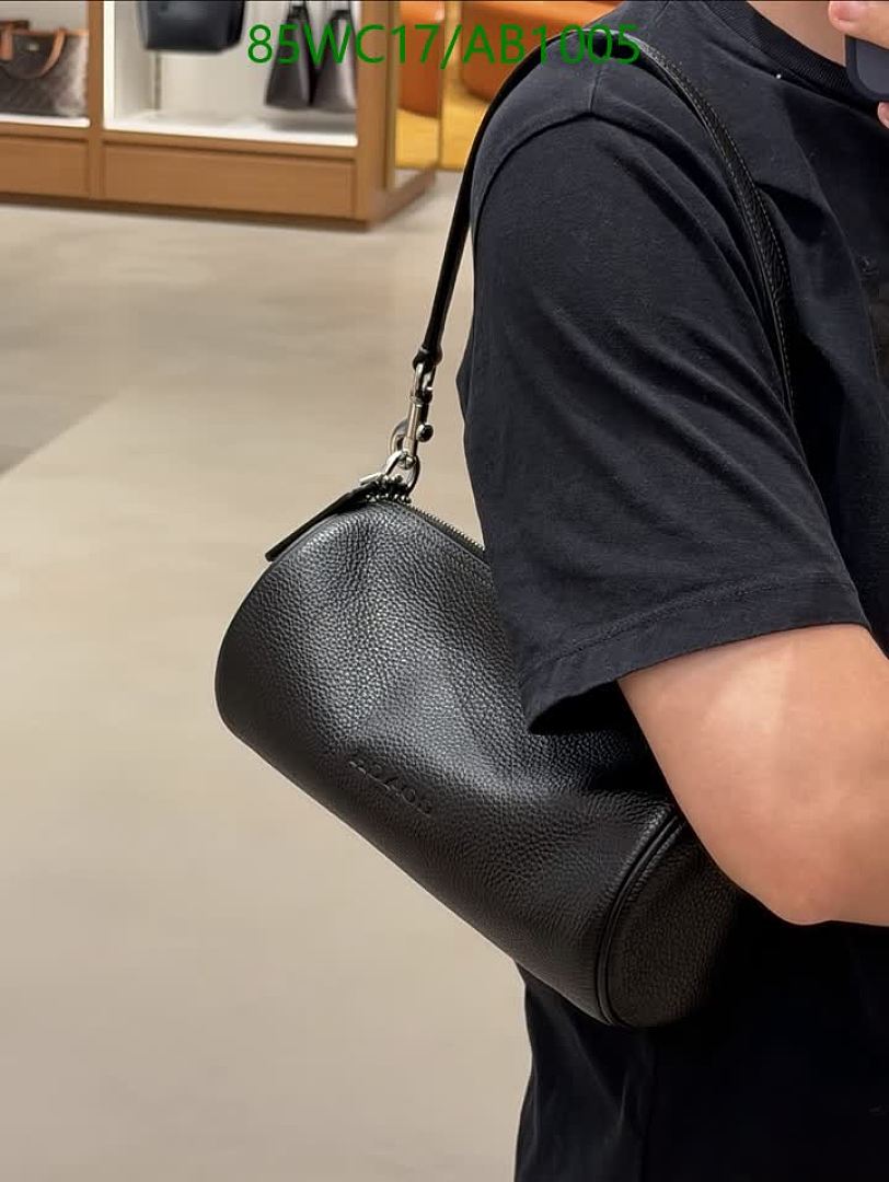 Coach-Bags4A Quality Code: AB1005 $: 85USD