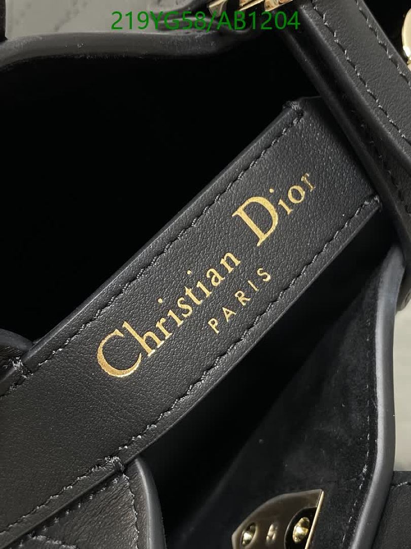 Dior-BagsMirror Quality Code: AB1204 $: 219USD
