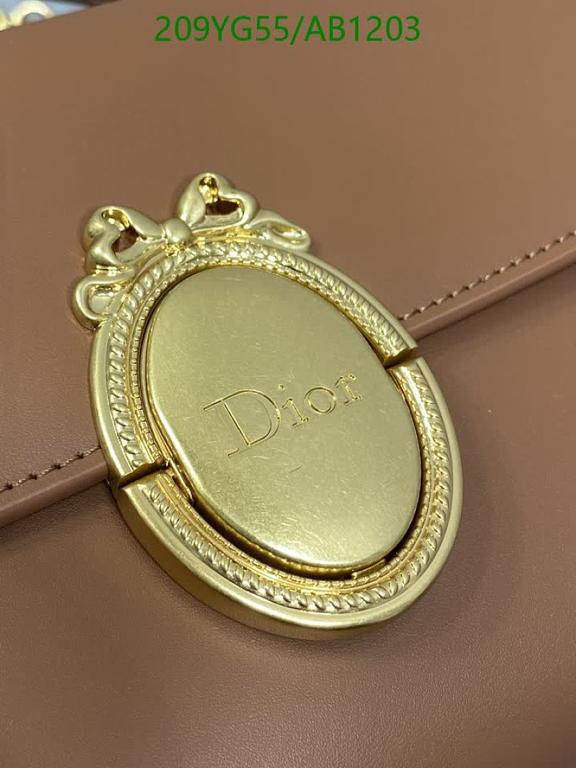 Dior-BagsMirror Quality Code: AB1203 $: 209USD