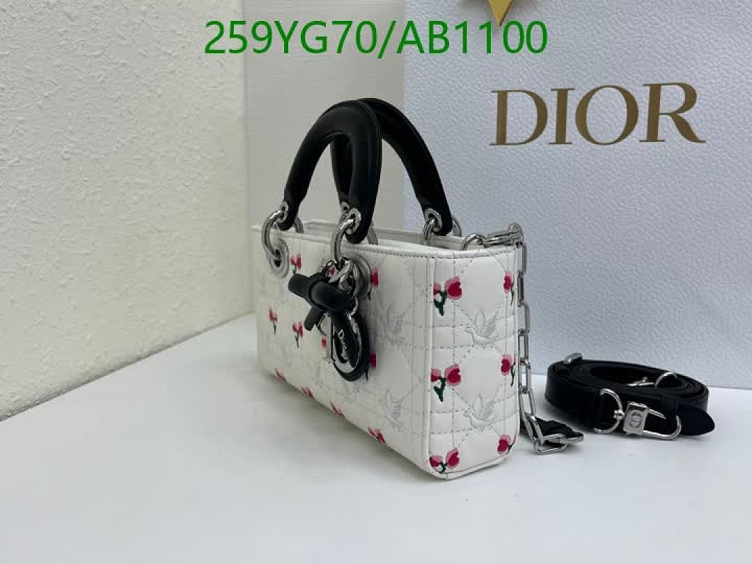 Dior-BagsMirror Quality Code: AB1100 $: 259USD