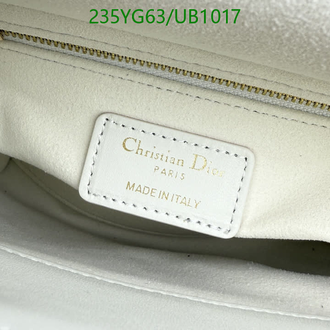 Dior-BagsMirror Quality Code: UB1017 $: 235USD